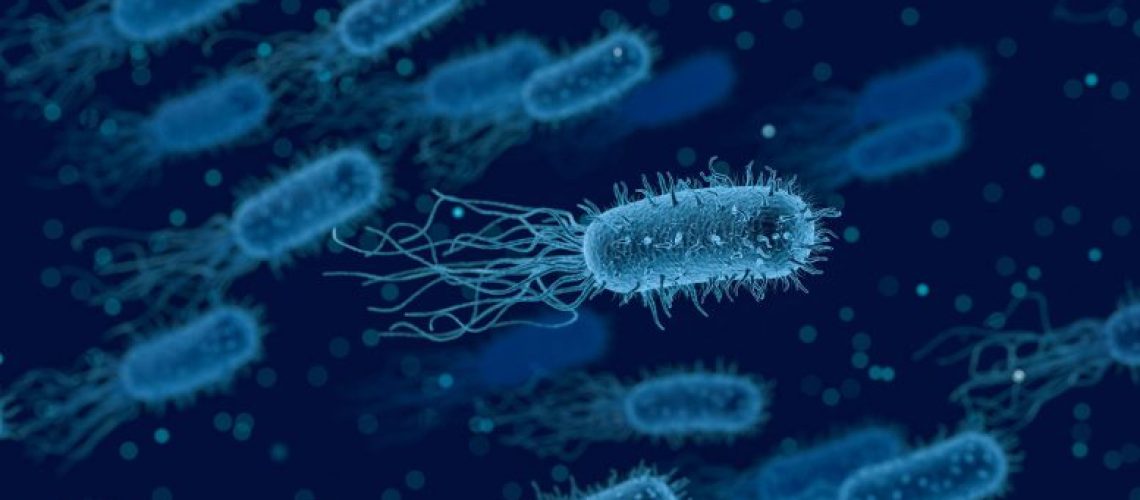 Bacteria-1-777x466
